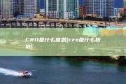 CRO 是什么意思 (cro是什么职位)