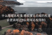 什么是域名权重 哪些域名后缀的权重会更高呢 (什么是域名权限制)