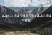 肖战的应援牌在哪里买的 (肖战应援牌表情包)