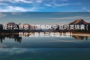 是什么意思 三国杀OL中 延时类锦囊 (是什么意思三年级上册)
