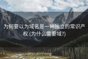 为何要以为域名是一种独立的常识产权 (为什么需要域?)