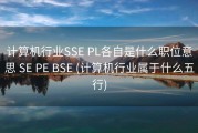 计算机行业SSE PL各自是什么职位意思 SE PE BSE (计算机行业属于什么五行)