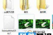 教你如何分辨橄榄油的优劣 (教你如何分辨各种塑料)