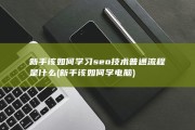 新手该如何学习seo技术 普通流程是什么 (新手该如何学电脑)