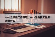 sem显微镜工作原理，sem显微镜工作原理是什么