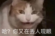 陶白白研究两年无进展，水瓶座的内心为何如此难以捉摸？
