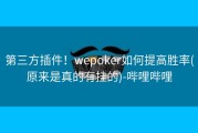 第三方插件！wepoker如何提高胜率(原来是真的有挂的)-哔哩哔哩