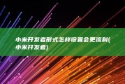 小米开发者形式怎样设置会更流利 (小米 开发者)