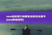 seo培训排行榜 哪家培训技术最牛 (seo的培训班)