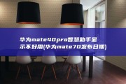 华为mate40pro智慧助手显示不好用 (华为mate70发布日期)