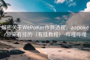 解密关于WePoKer作弊透视，aapoker原来有挂的（有挂教程）-哔哩哔哩