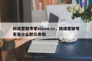 网络营销专家vixun.cc，网络营销专家是什么职位类别