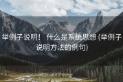 举例子说明！ 什么是系统思想 (举例子说明方法的例句)