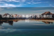 tan幕还是dan幕 哪个对 (幕与幕的区别)