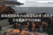 请简述互联网 的运用及其前景 (请简述互联网医疗为何难做)