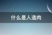 什么是人造排名 SEO