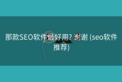 那款SEO软件最好用? 谢谢 (seo软件推荐)