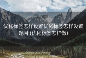 优化标签怎样设置优化标签怎样设置题目 (优化标签怎样做)