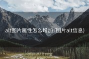 alt图片属性怎么增加 (图片alt信息)