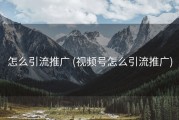 怎么引流推广 (视频号怎么引流推广)