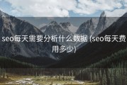 seo每天需要分析什么数据 (seo每天费用多少)