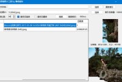哪个搜查软件最好用 (哪个搜查软件好用)