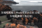 灰帽和黑帽三种seo手法的区别 白帽 (灰帽和黑帽三角区别)
