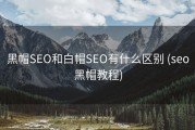 黑帽SEO和白帽SEO有什么区别 (seo黑帽教程)