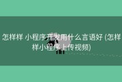 怎样样 小程序开发用什么言语好 (怎样样小程序上传视频)