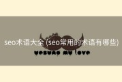 seo术语大全 (seo常用的术语有哪些)