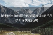 新手秘技 如何提升网站关键词 (新手秘技如何快速获得)