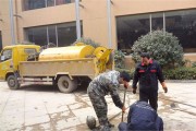 粪便污渍协助迷信家追踪南极企鹅群 (粪便污染)