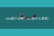 seo是什么啊? (seo是什么意思)