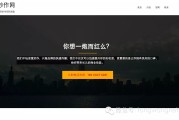 去年高价拍下chaozuo.com域名，简单操作快速获排名引咨询