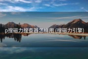 p搜磁力搜查器怎样用 (搜磁力引擎)