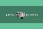 如何学习学好SEO (怎样学好)