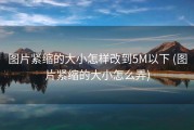 图片紧缩的大小怎样改到5M以下 (图片紧缩的大小怎么弄)