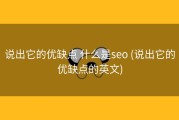 说出它的优缺点 什么是seo (说出它的优缺点的英文)