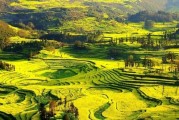 自贡自驾云南旅游攻略 自贡登程5天自驾云南游攻略 (自贡自驾云南最佳攻略)