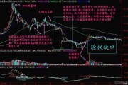 什么叫权重什么叫比重 (权重 什么意思)