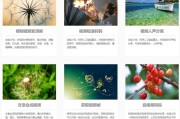 优化有哪些影响 html标签对SEO (优化有哪些影响因子)