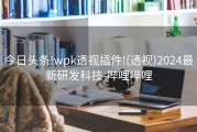 今日头条!wpk透视插件!(透视)2024最新研发科技-哔哩哔哩