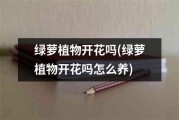 什么牌子的男士内裤好 (什么牌子的男士内裤质量好)