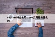 seosem知名公司，seo公司是做什么的