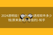2024透明挂！WePoKer透视软件多少钱(原来是真的有挂的)-知乎