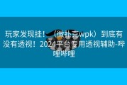 玩家发现挂！（微扑克wpk）到底有没有透视！2024平台专用透视辅助-哔哩哔哩
