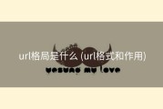 url格局是什么 (url格式和作用)