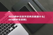SEO的中文名字及其含意是什么 (seo的中文名称)