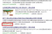 SEO 高级策略技巧：从点到面，深度解析常见话题