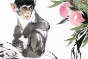 猴的寿命有多长 (猴的寿命有多少年啊)